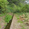 Plants: image 66 Of 117 Thumb